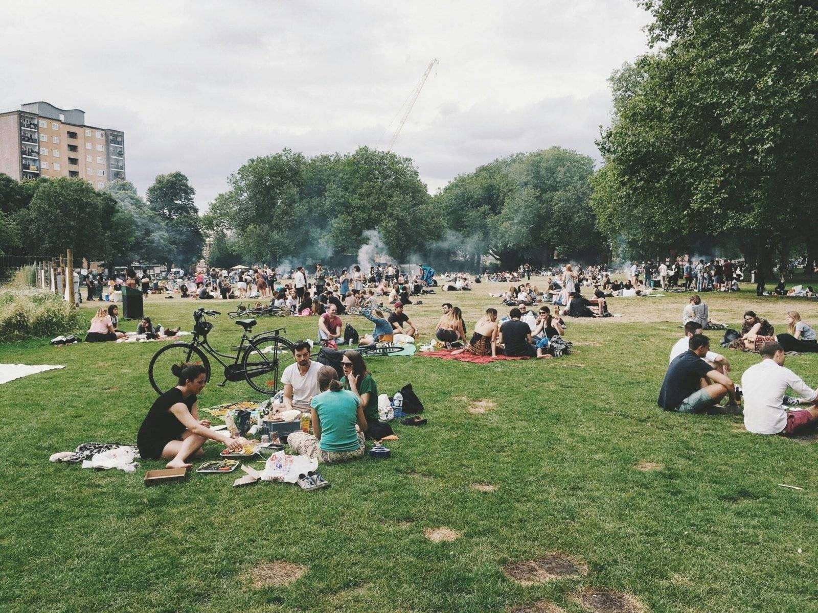 group of people gathering on field